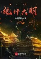 统计大明免费阅读全文