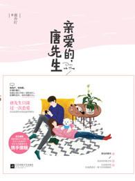 亲爱的唐先生南乔吖txt