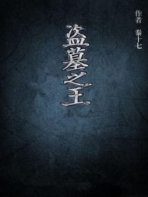 盗墓之王讲的什么 盗墓之王讲的什么