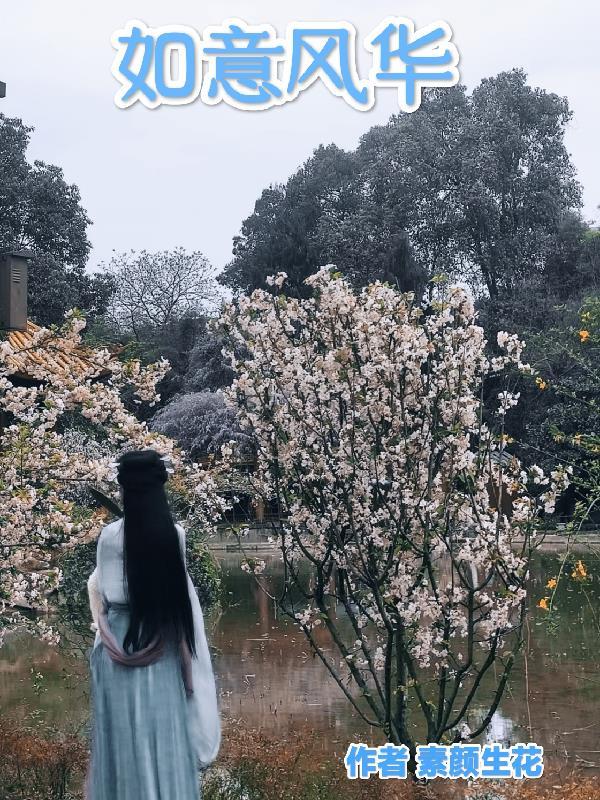如意风华 如意风华